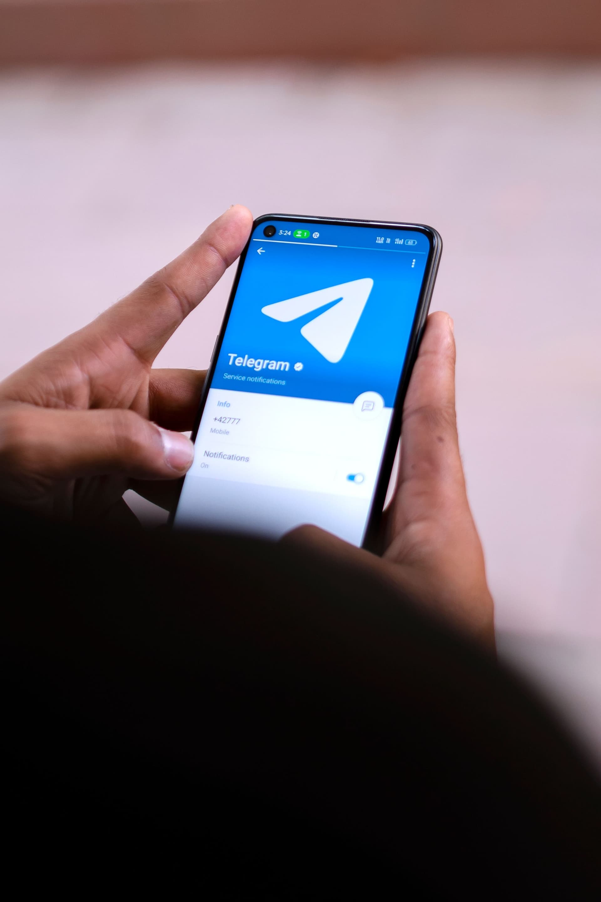 Telegram DMs