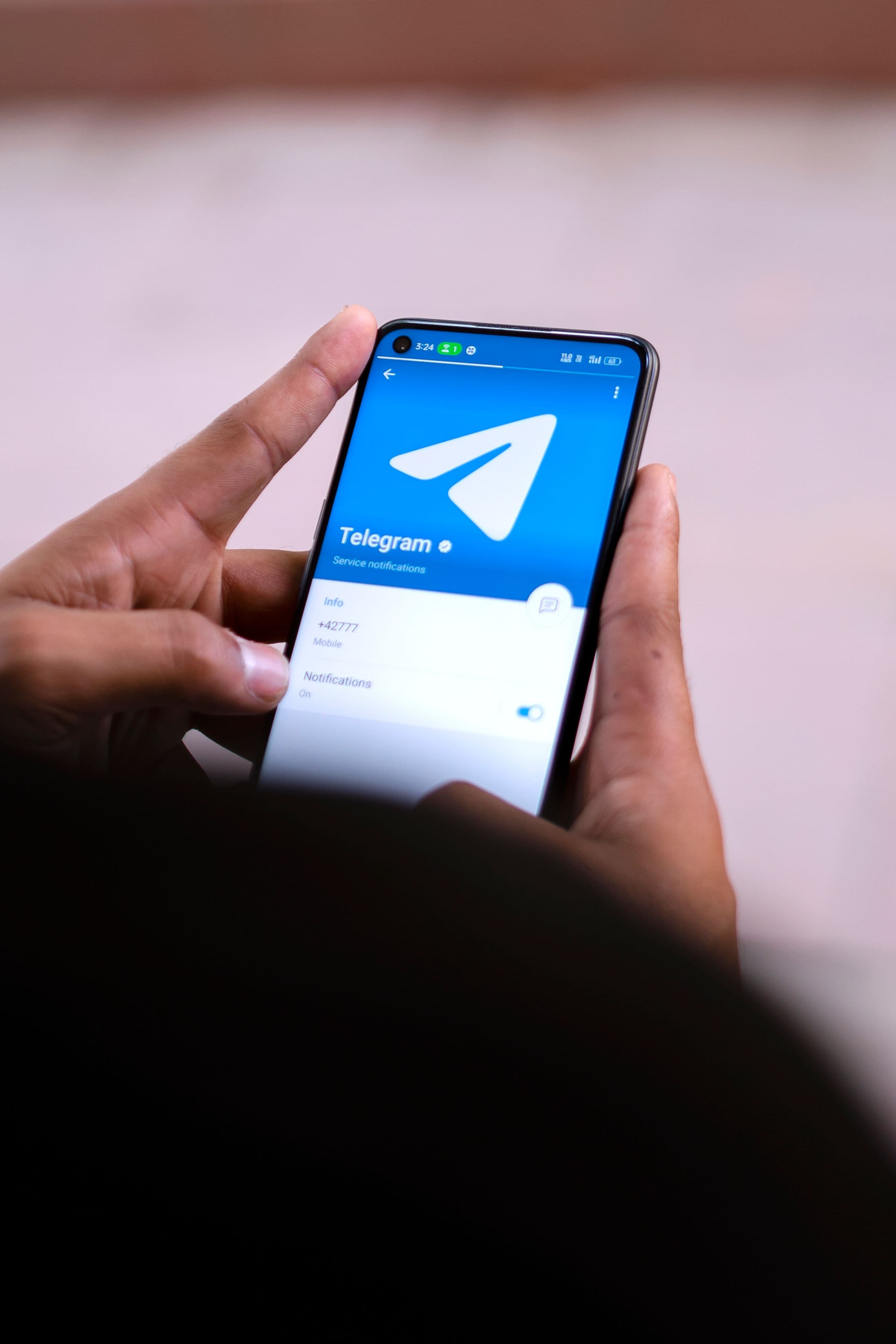 Telegram DMs
